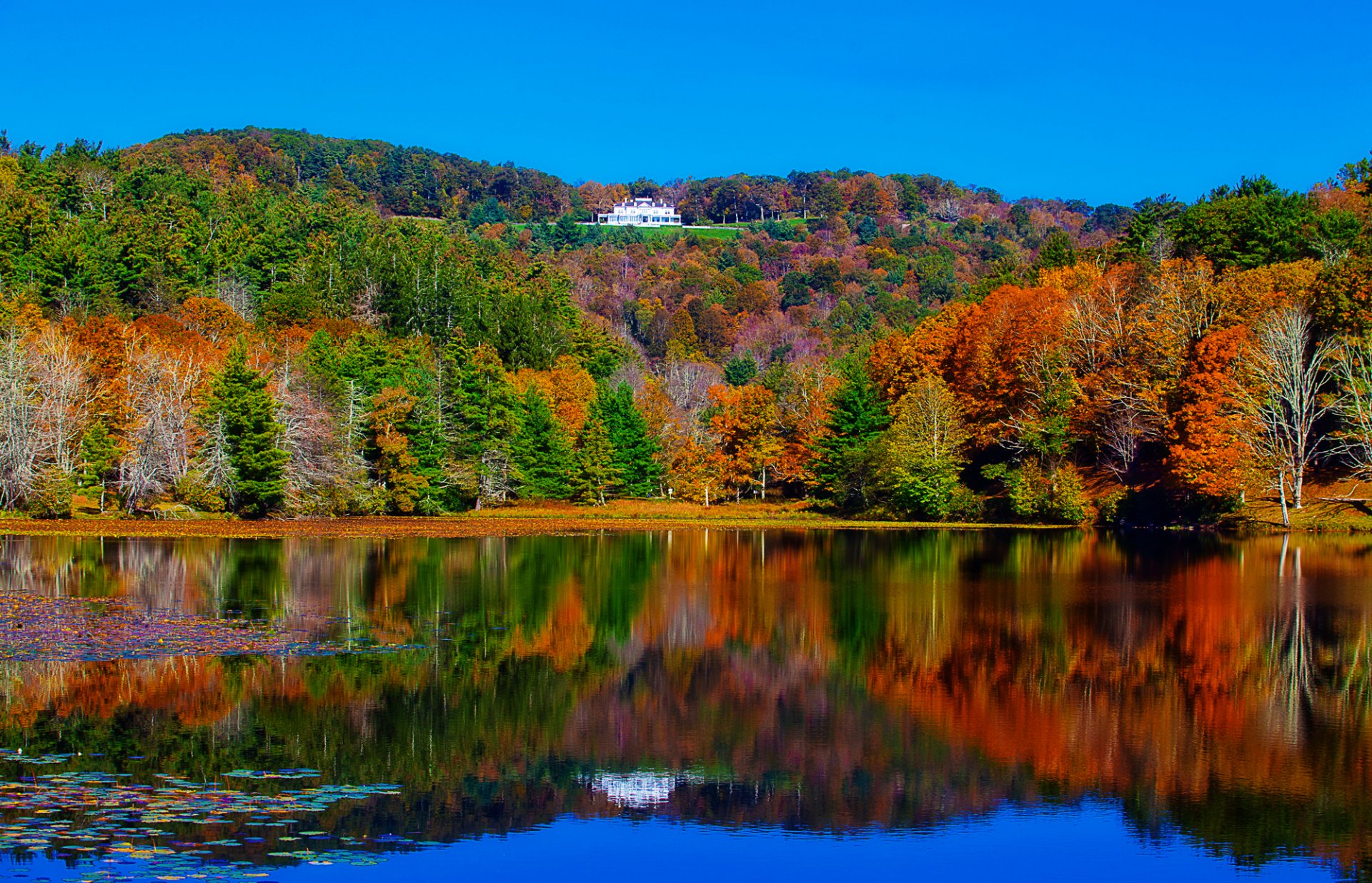 paesaggio fiume lago foresta alberi casa palazzo autunno riflessione