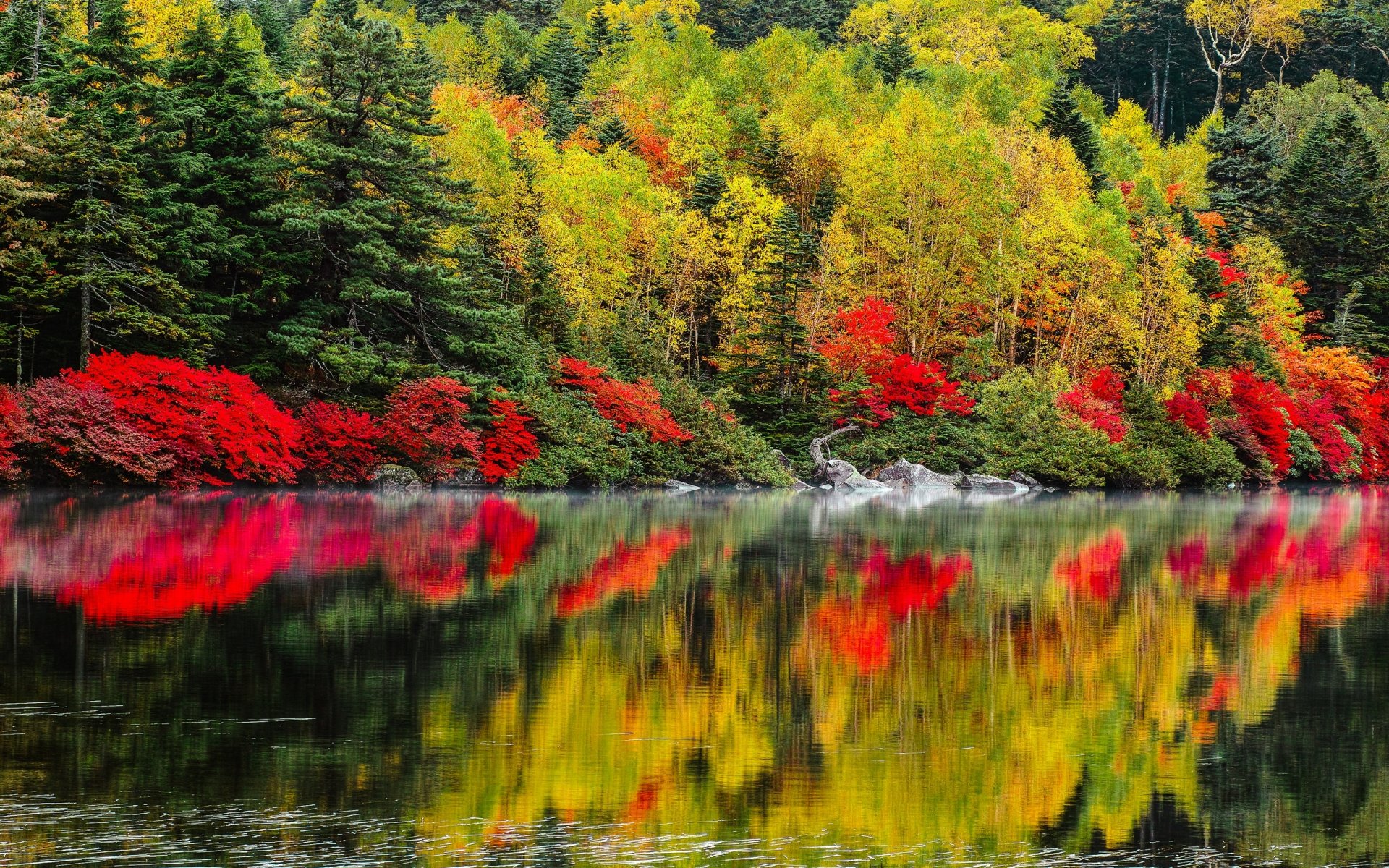 naturaleza paisaje lago otoño árboles bosques