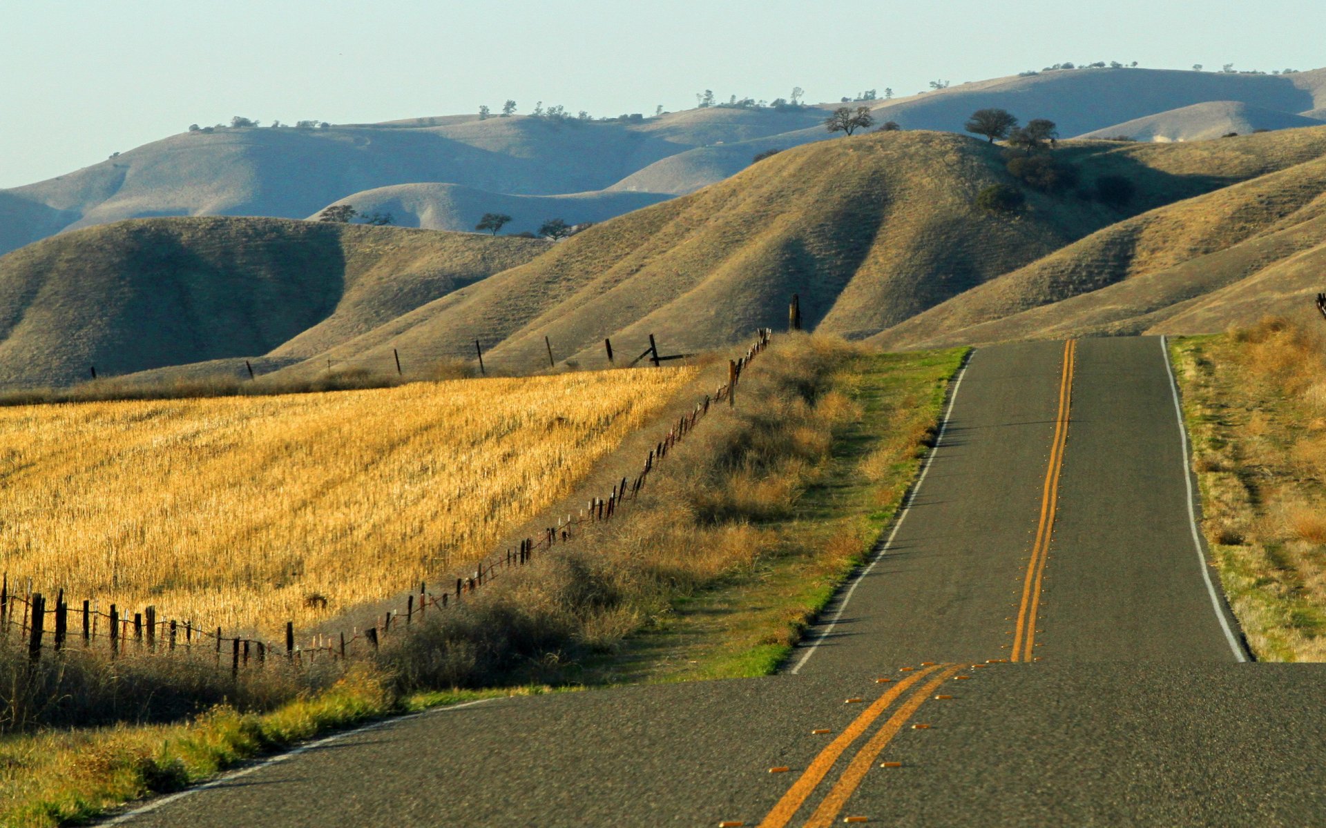 camino campo paisaje