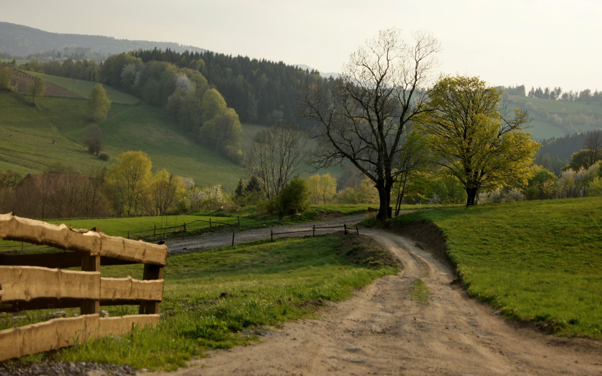 straße zaun landschaft