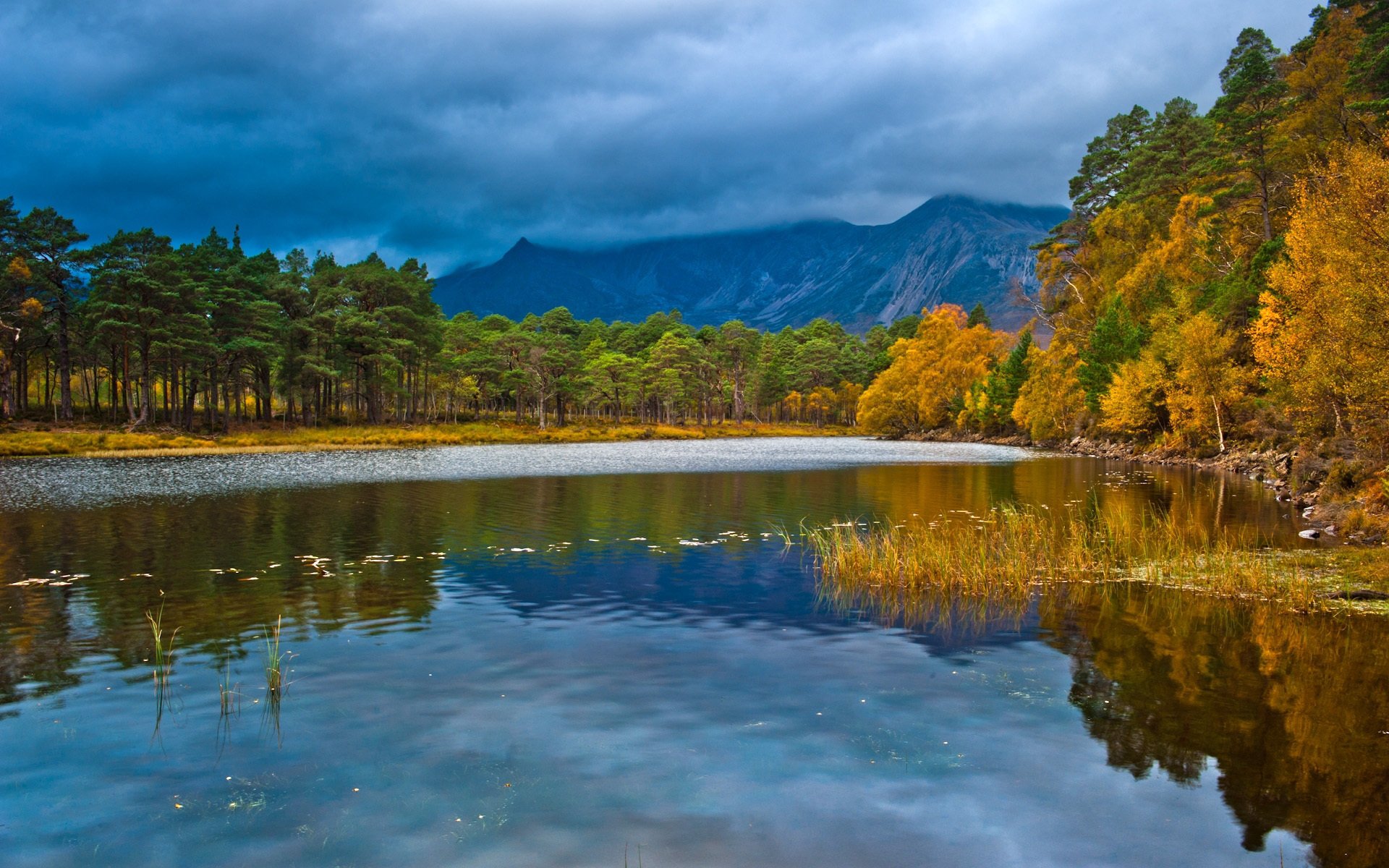 anglia szkocja loch clair krajobraz jezioro las jesień