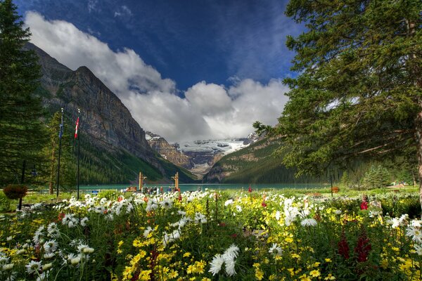 Lake Louise in Banff National Park in Canada