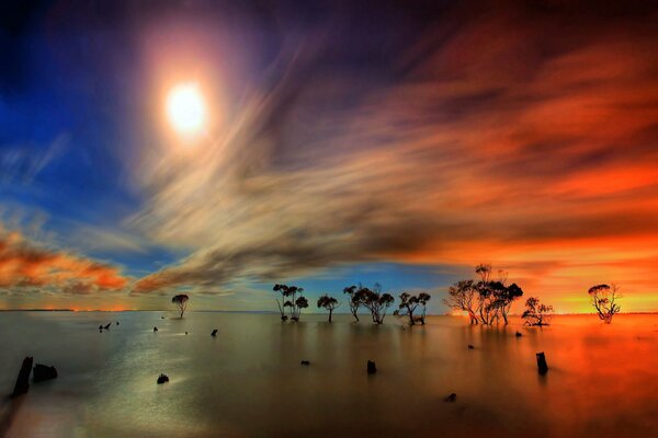 Tramonto luminoso sul lago e sugli alberi