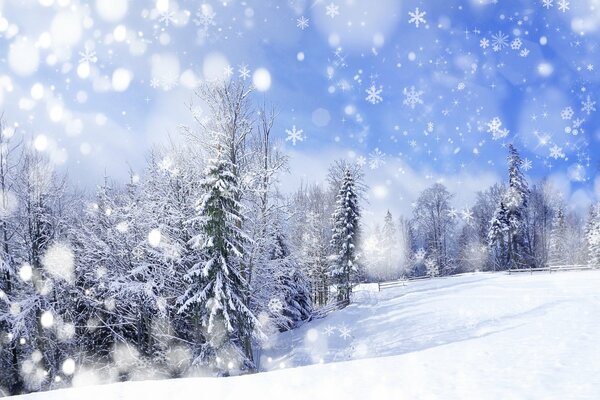 Landscape of trees in the snow in winter