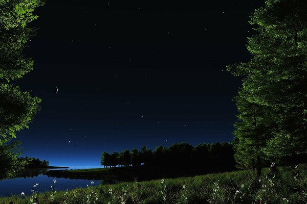 Night sky over the lake