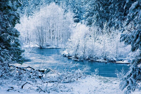 Paysage rivière neige hiver