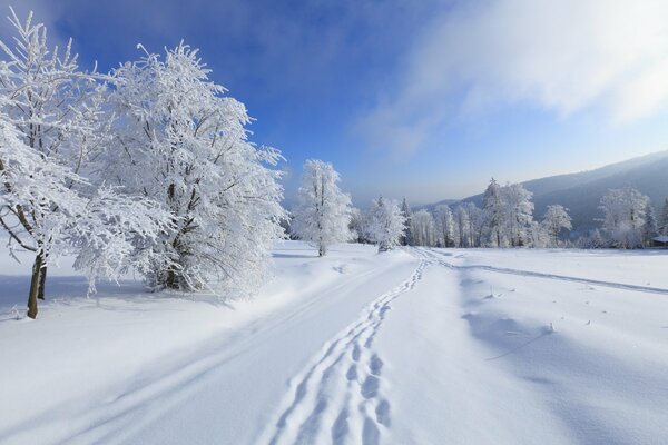 Empreintes de pas sur la neige en hiver avec paysage de montagne