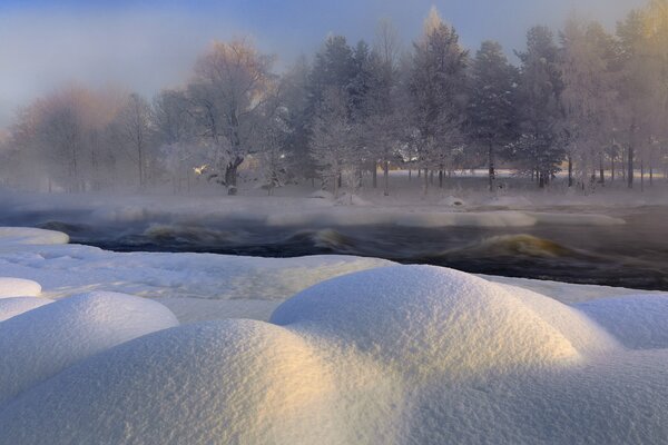 Winterlandschaft mit abgerundeten Schneeverwehungen und verwinkelten Bäumen