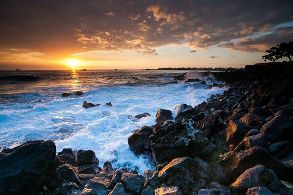 Beautiful sunset in the harbor