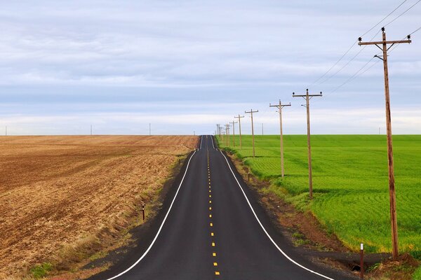 El camino entre el campo amarillo y verde