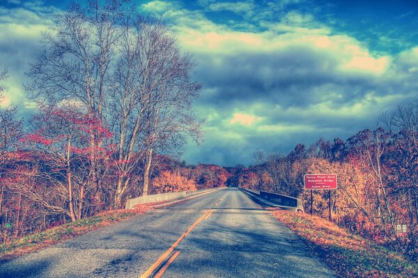 Follaje amarillo a lo largo de la carretera