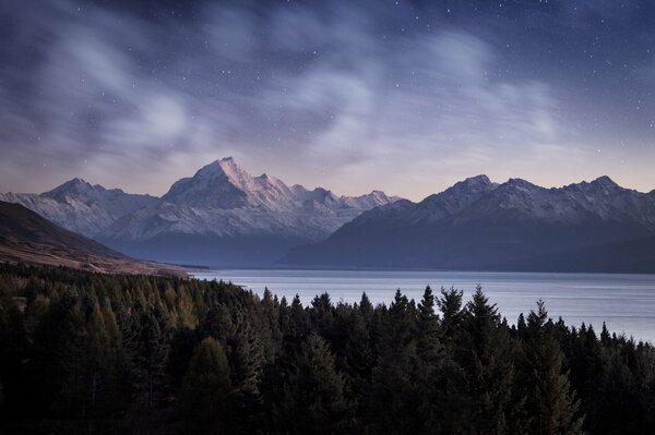 Noche estrellada en otoño en el bosque