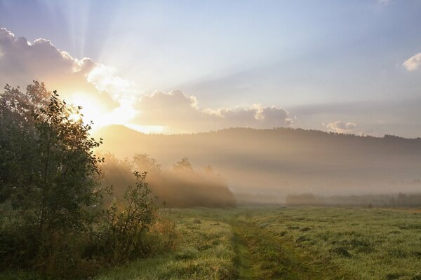 Morgensonne, die sich durch die Wolken zieht