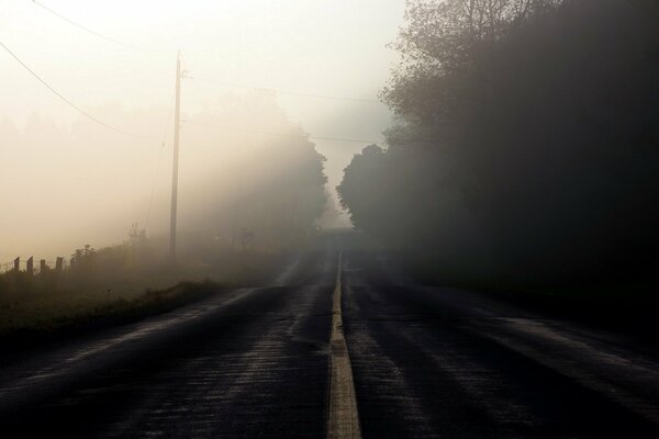 Długa droga w mglisty poranek