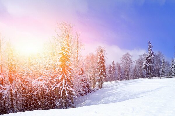 Matin glacial dans les montagnes