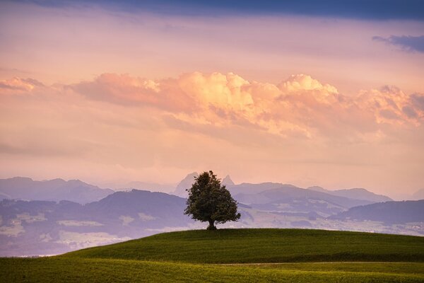 Paysage de montagne. Beaux nuages