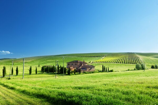 Route verte menant aux vignobles