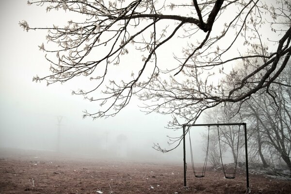 Lonely swing under a tree in the fog