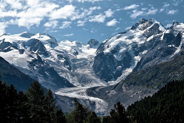 Montañas nevadas y bosque bajo las nubes