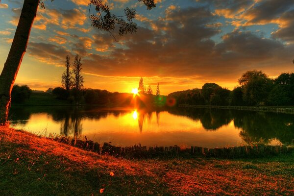 Lago con alberi al tramonto estivo