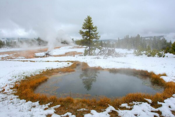 Autumn puddle and snow