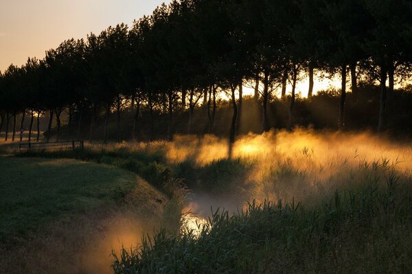 Aufsteigender Nebel bei Sonnenuntergang des Tages