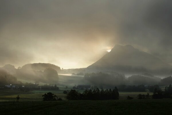 Misty sunrise in high-altitude meadows