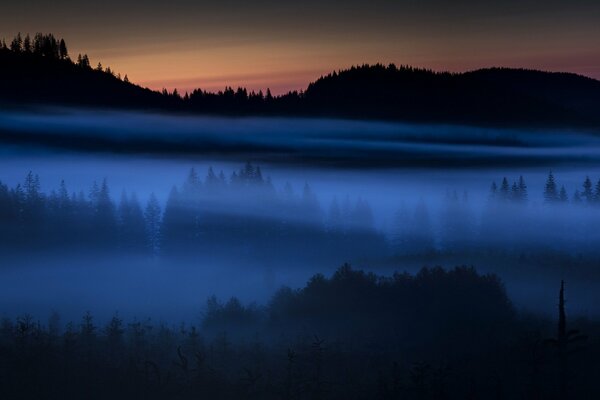 Night view of the field in the fog