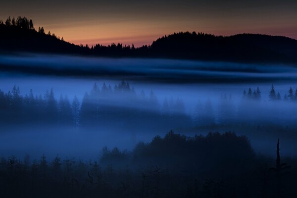 Nocny widok pola we mgle
