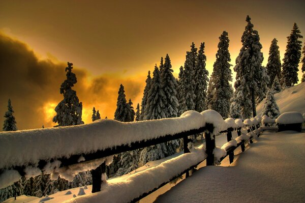 La splendeur blanche de la neige d hiver