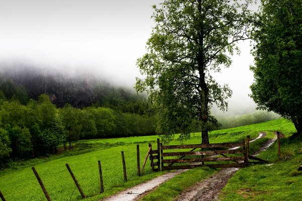 En el campo hay una valla y una puerta