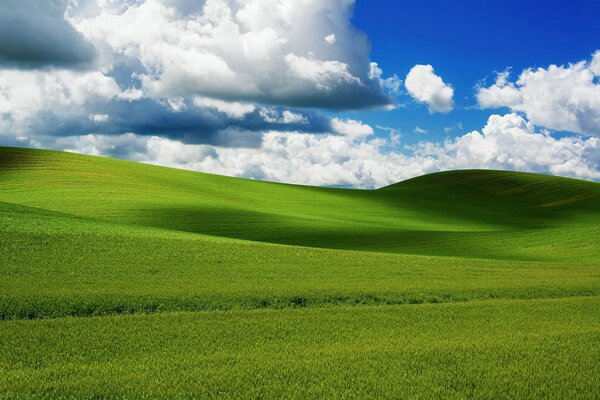 En el horizonte, las nubes se encuentran directamente en los prados