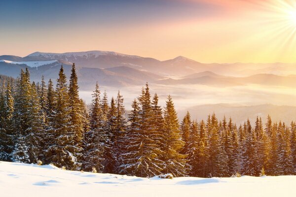 Bäume und Berge im Winter unter der Sonne