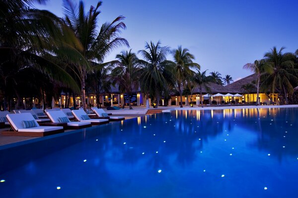 Vista nocturna de la piscina entre palmeras