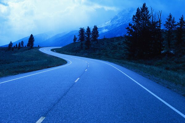 A marked road in the middle of nature at dusk