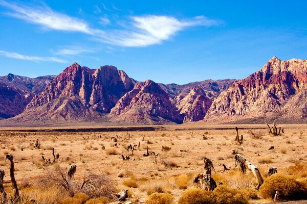 Klippen in der Wüste von Nevada unter der Sonne