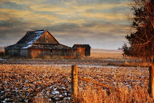 Beautiful mysterious house on the field