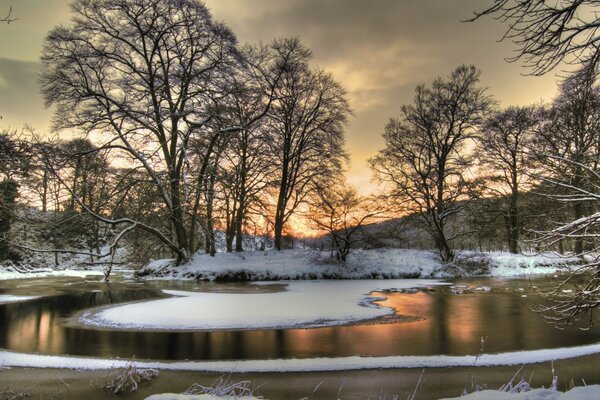 Belle nature sur fond de coucher de soleil