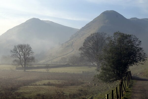 Matin dans les montagnes brumeuses