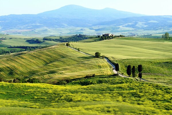 Die Hügel liegen in der Toskana. Italien