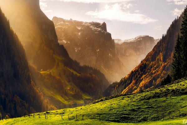 Green valley at the foot of the mountains