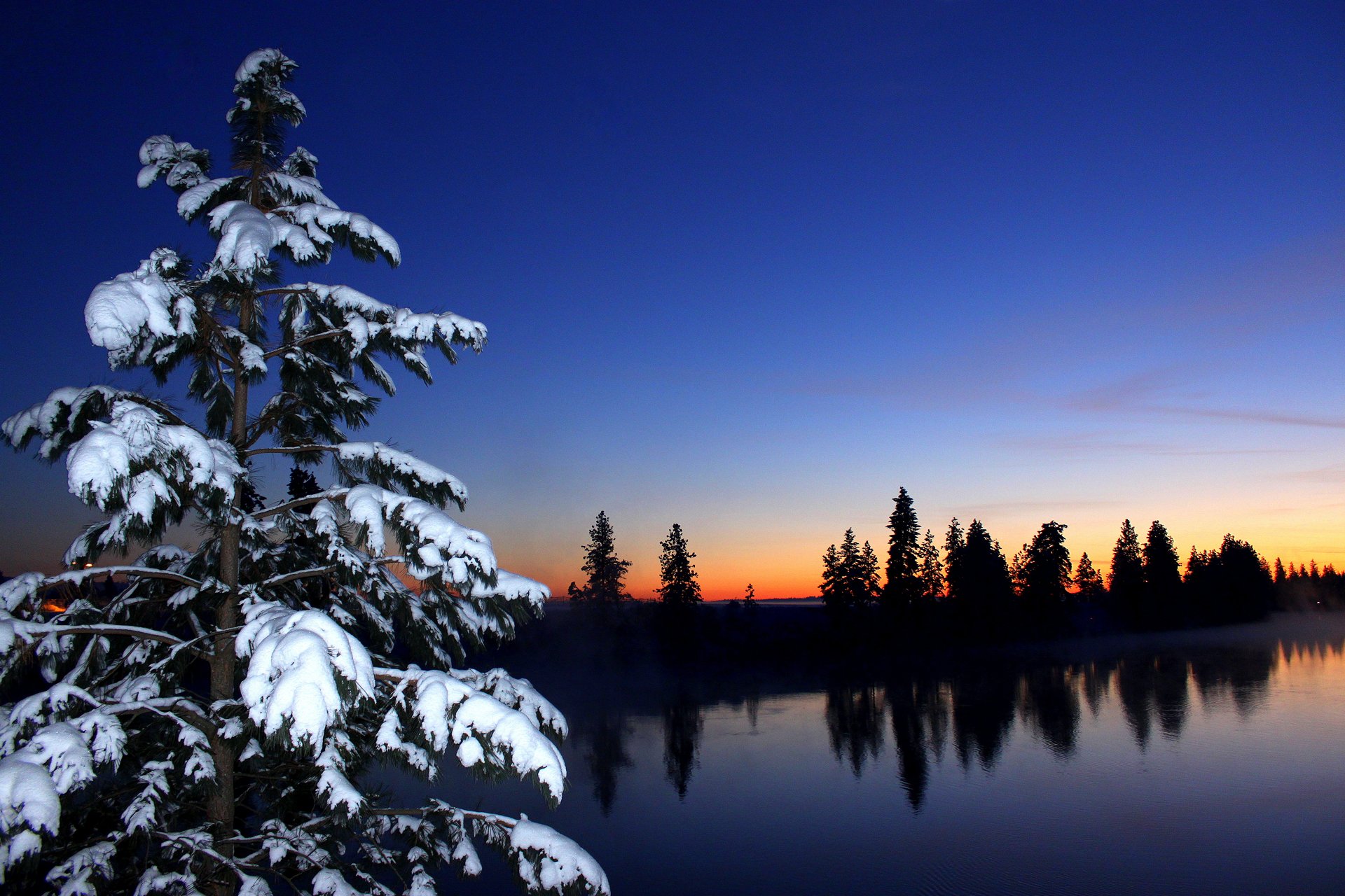 forest winter spruce snow sunset sky river