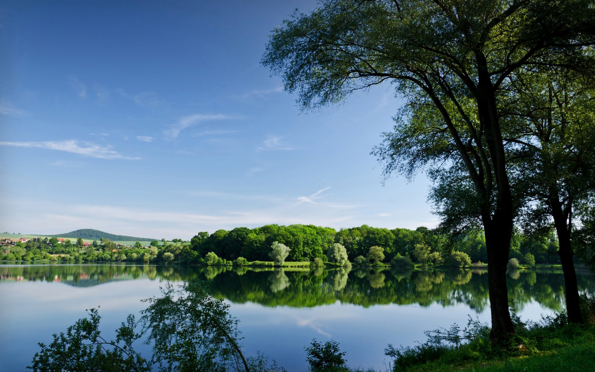 verano árboles cuerpo de agua río lago reflexión