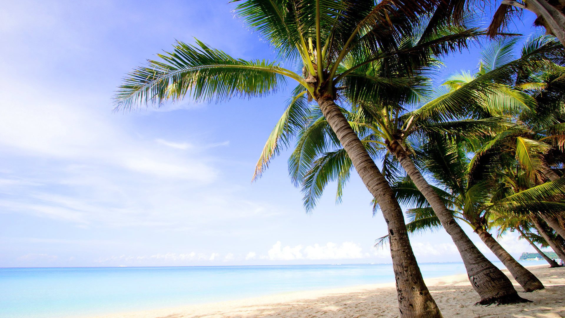 paisaje naturaleza palmeras isla océano agua playa arena costa cielo nubes sombra 1920x1080