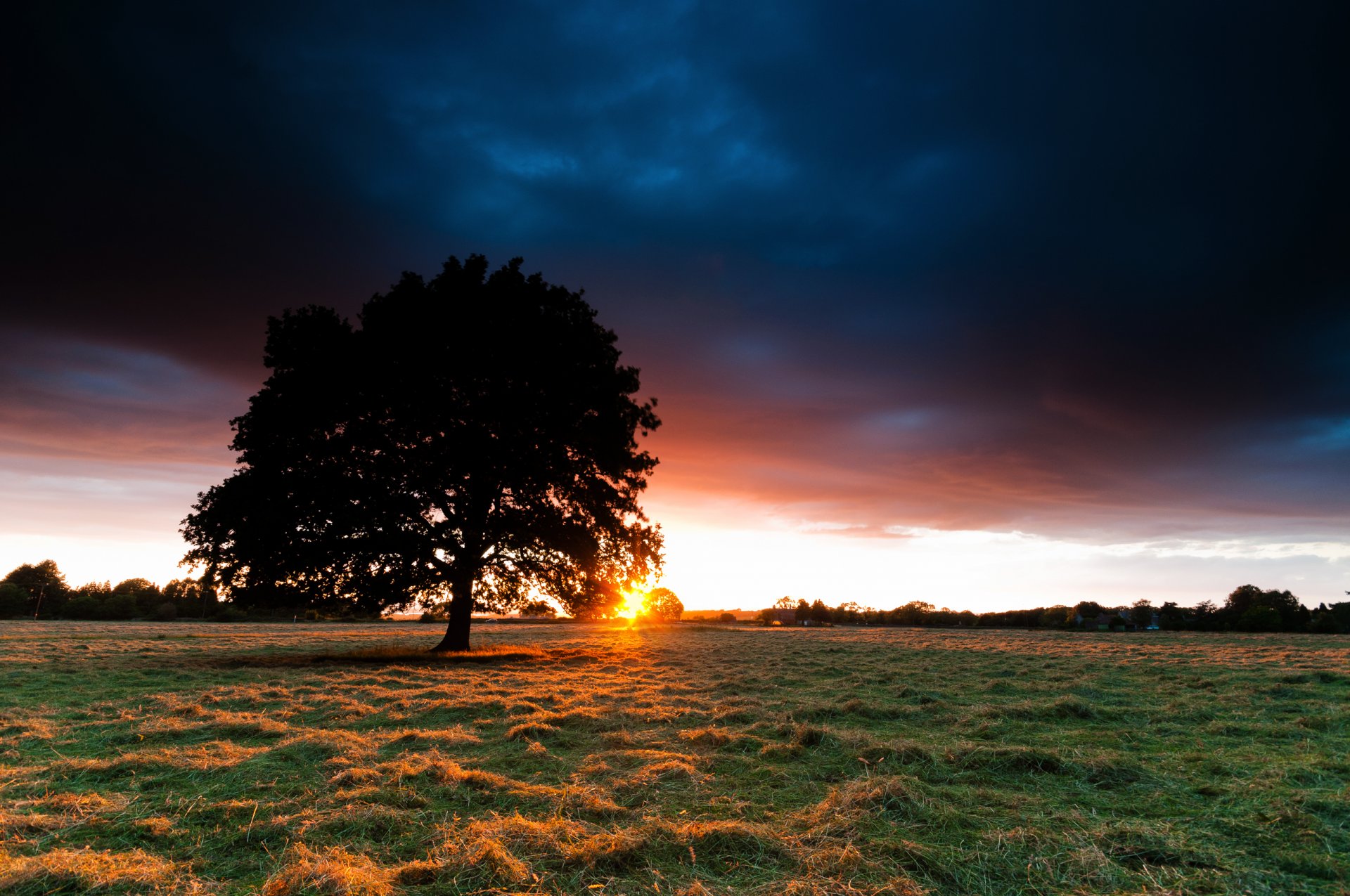 feld sonnenuntergang baum sonne heu gras himmel