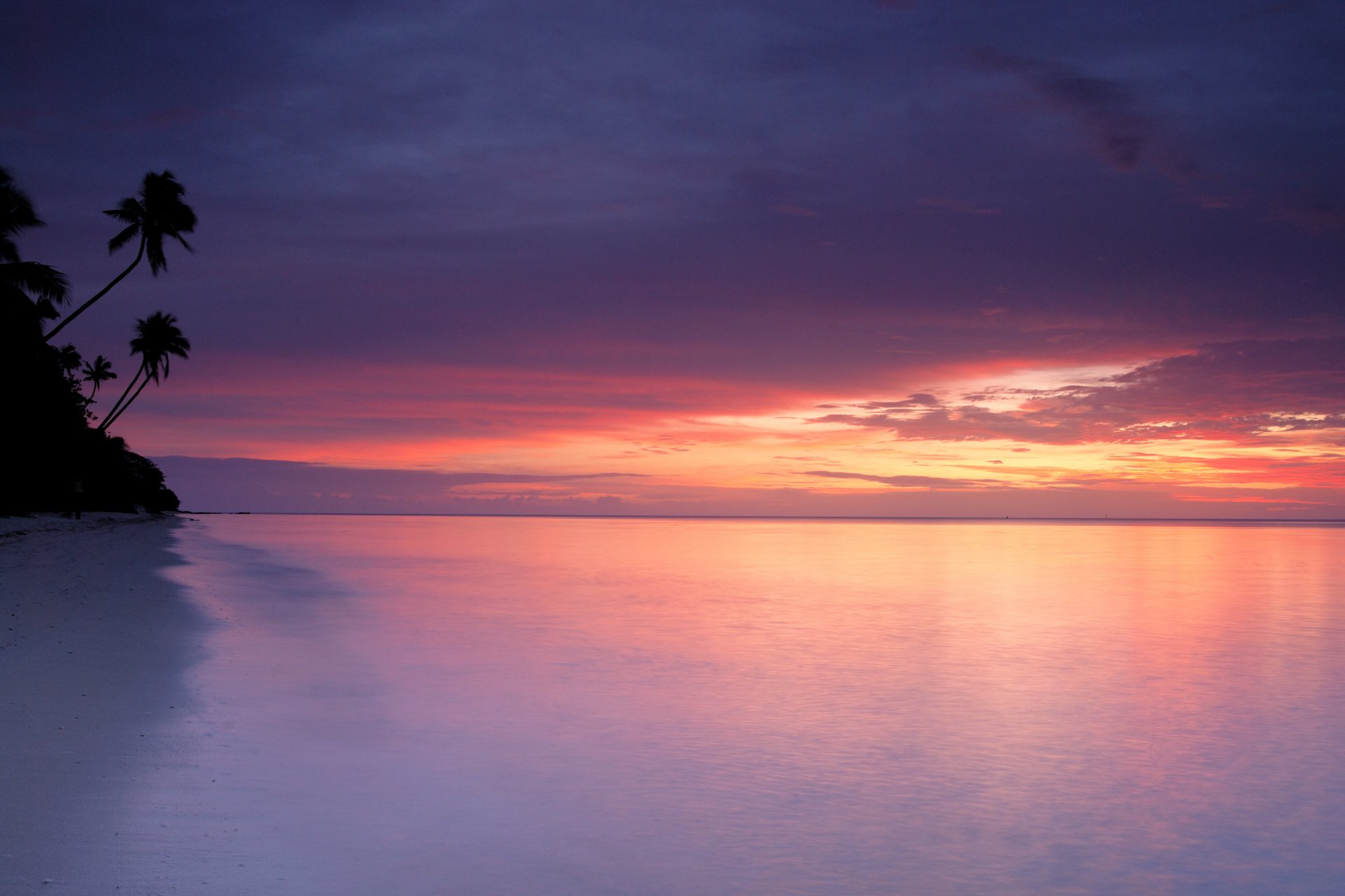 mare spiaggia tramonto cielo palme