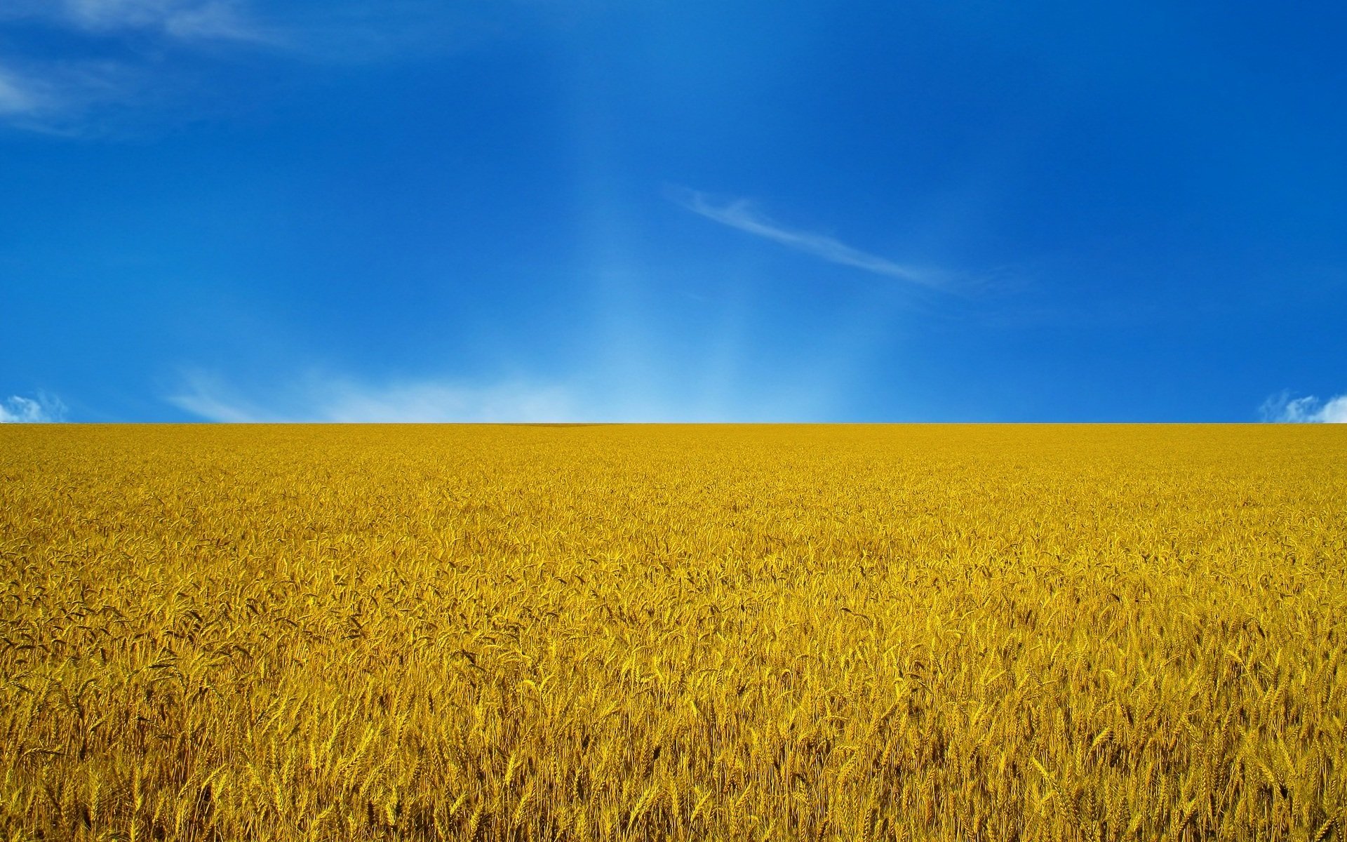 ukraine flagge himmel