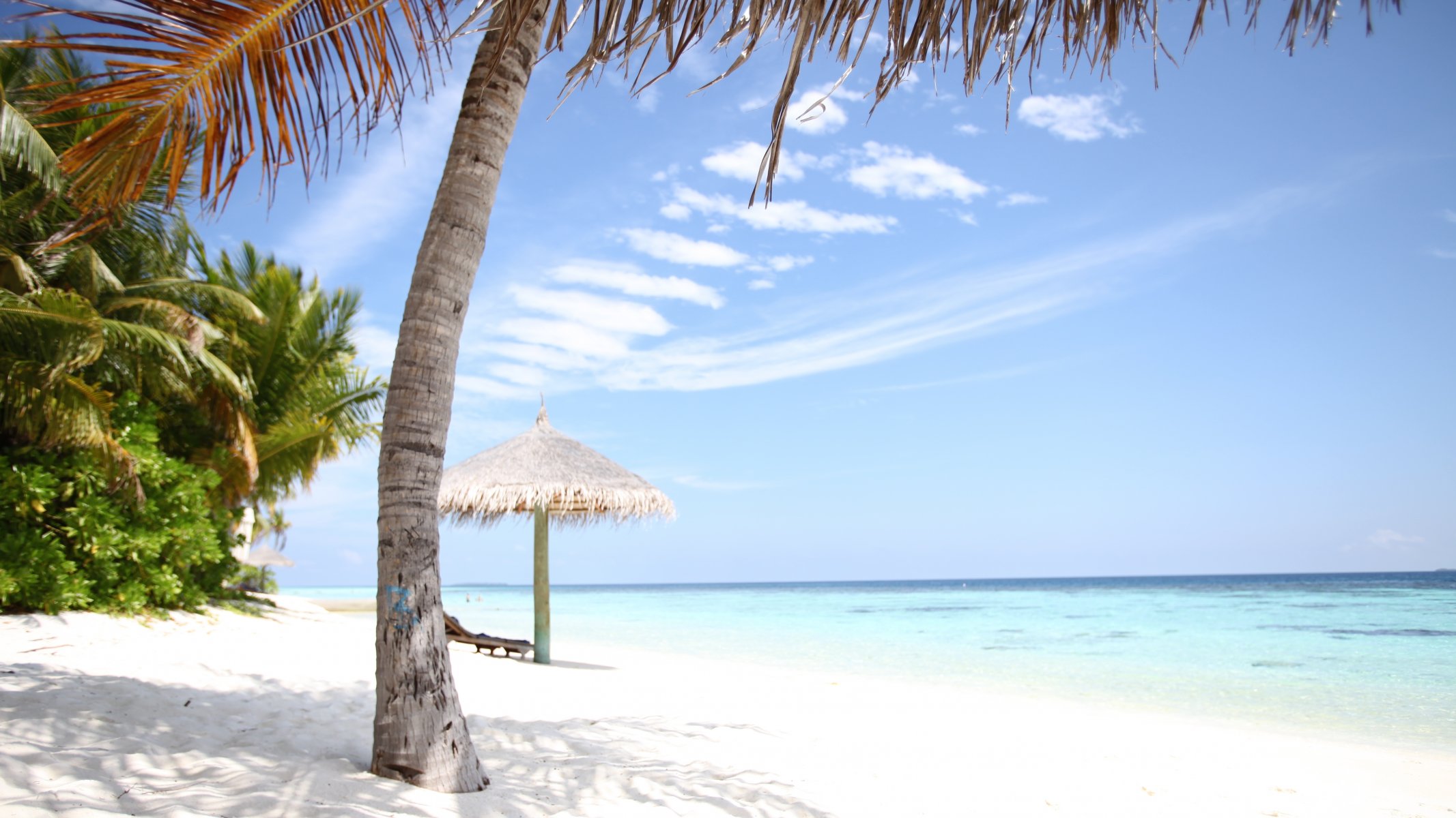 liegestuhl erholung weißer sand malediven seychellen insel