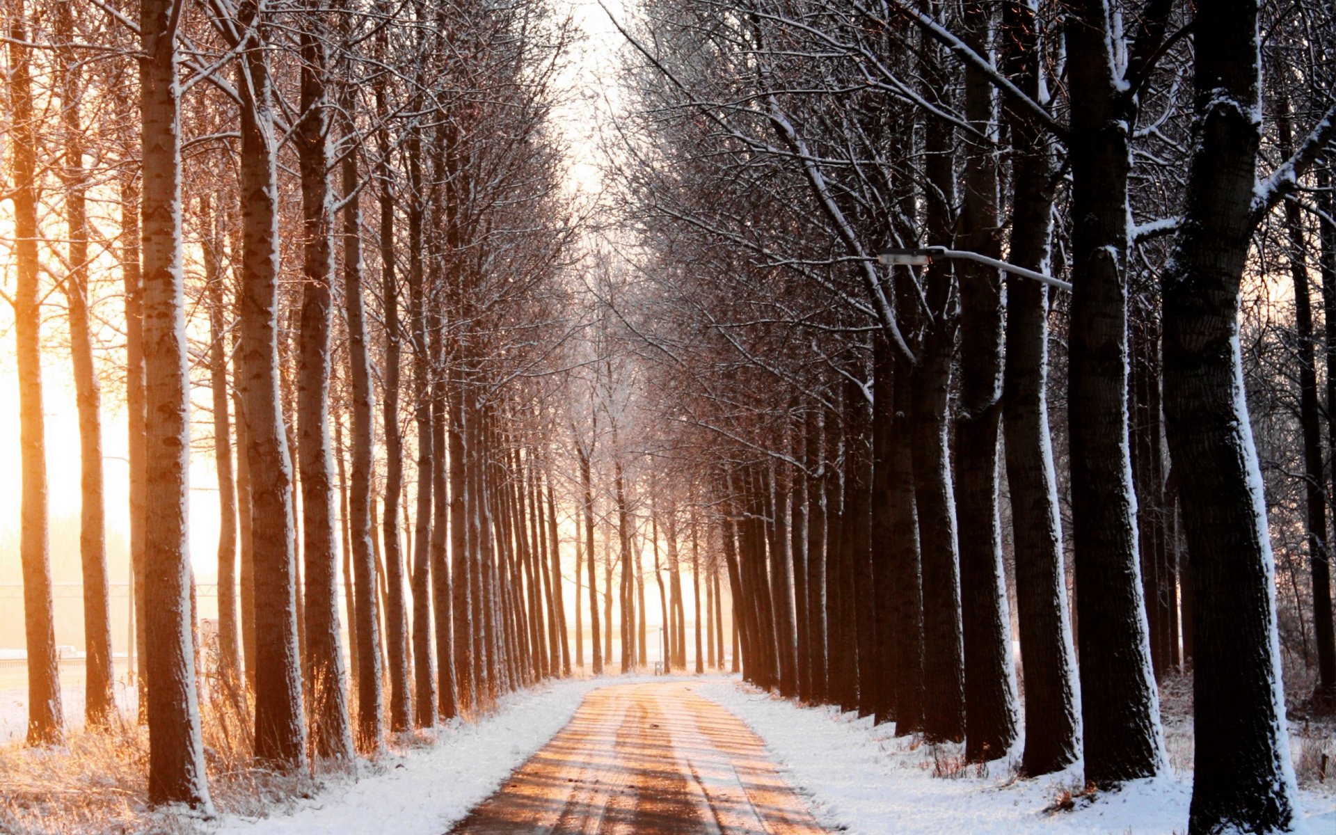 winter straße bäume landschaft