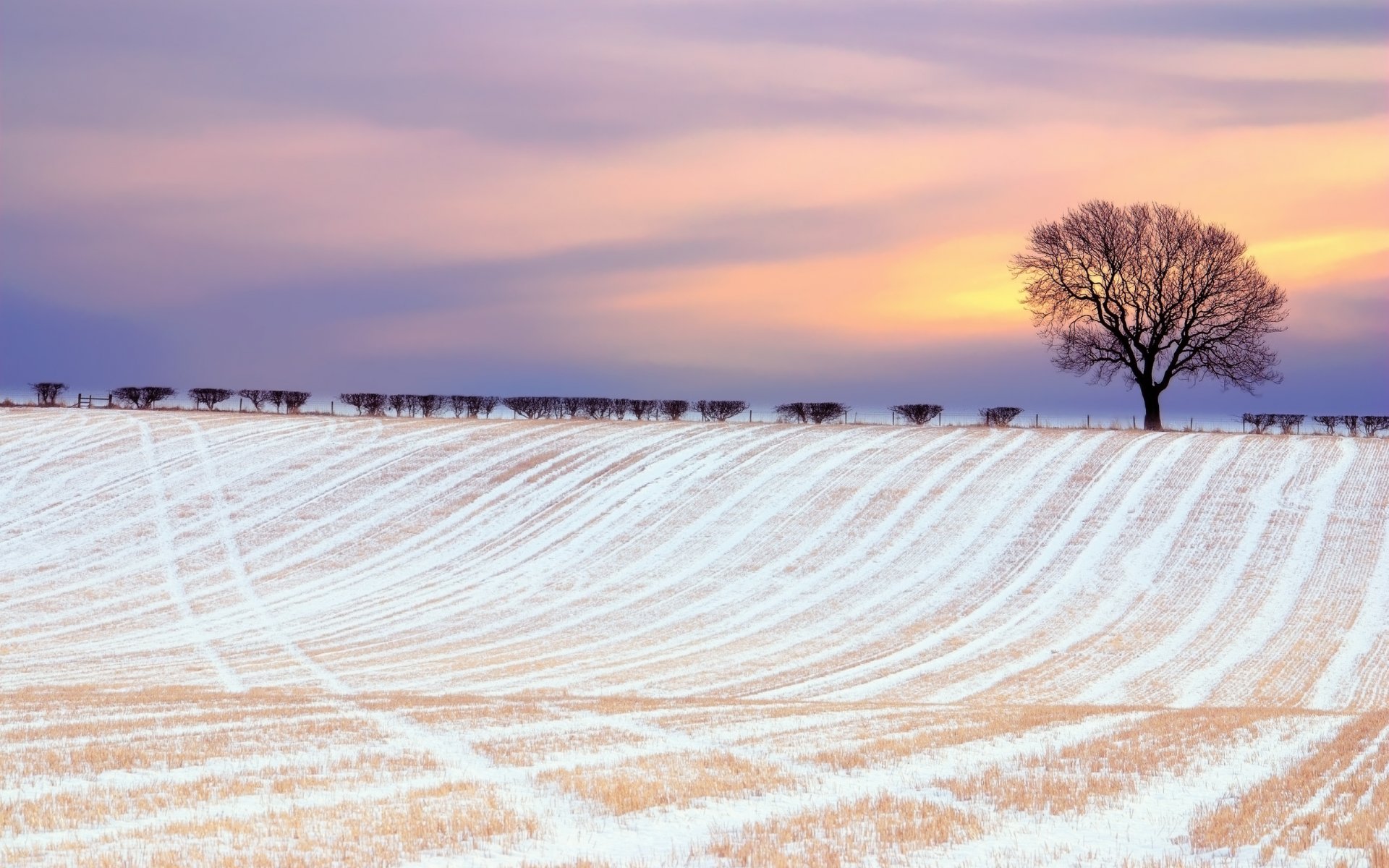 winter feld schnee baum büsche himmel wolken farben